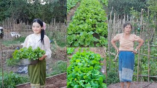 Mu Nrhiav Yuav Luag Tsi Pom Nkauj Ntxhias Lawv Vaj Noog Hmoob Txaj Muag Tag Li Os