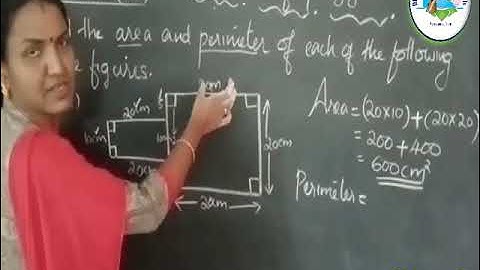 Macmillan CPA Class 8 Chapter:15 Area of Polygons Part:1