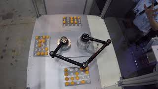2017 M-Tech Tokyo Japan, Pentagon Robot, Five-bar robot Parallel linking to lead end-effector