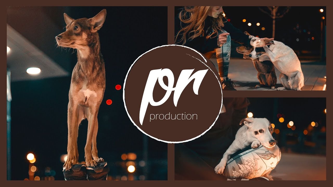 📸PR PRODUCTION | PeruFamily