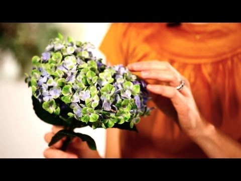 How to Make Hydrangeas Last Longer | Wedding Flowers