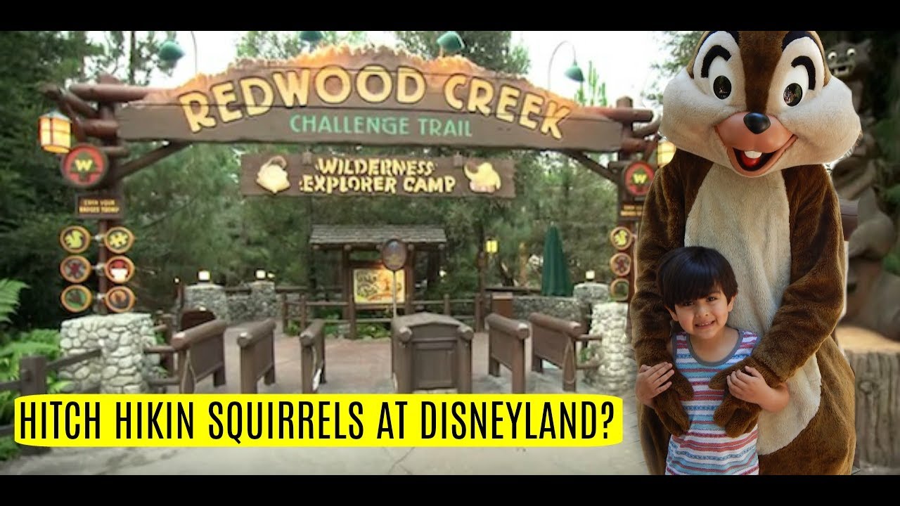 climbing colombia HITCH HIKING SQUIRRELS AT DISNEYLAND ??