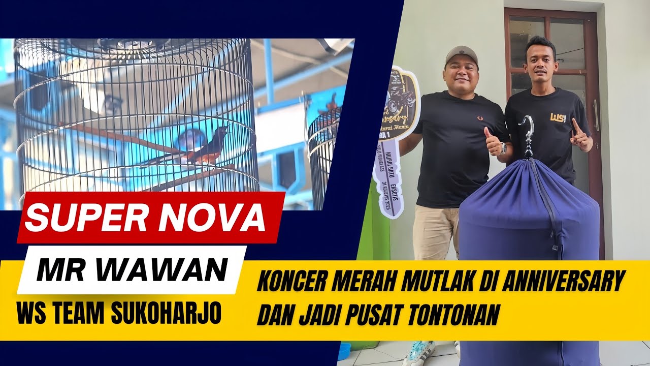 JUAL BELI MATERI‼️MURAI SUPER NOVA MR WAWAN WS TEAM SUKOHARJO KONCER MERAH MUTLAK