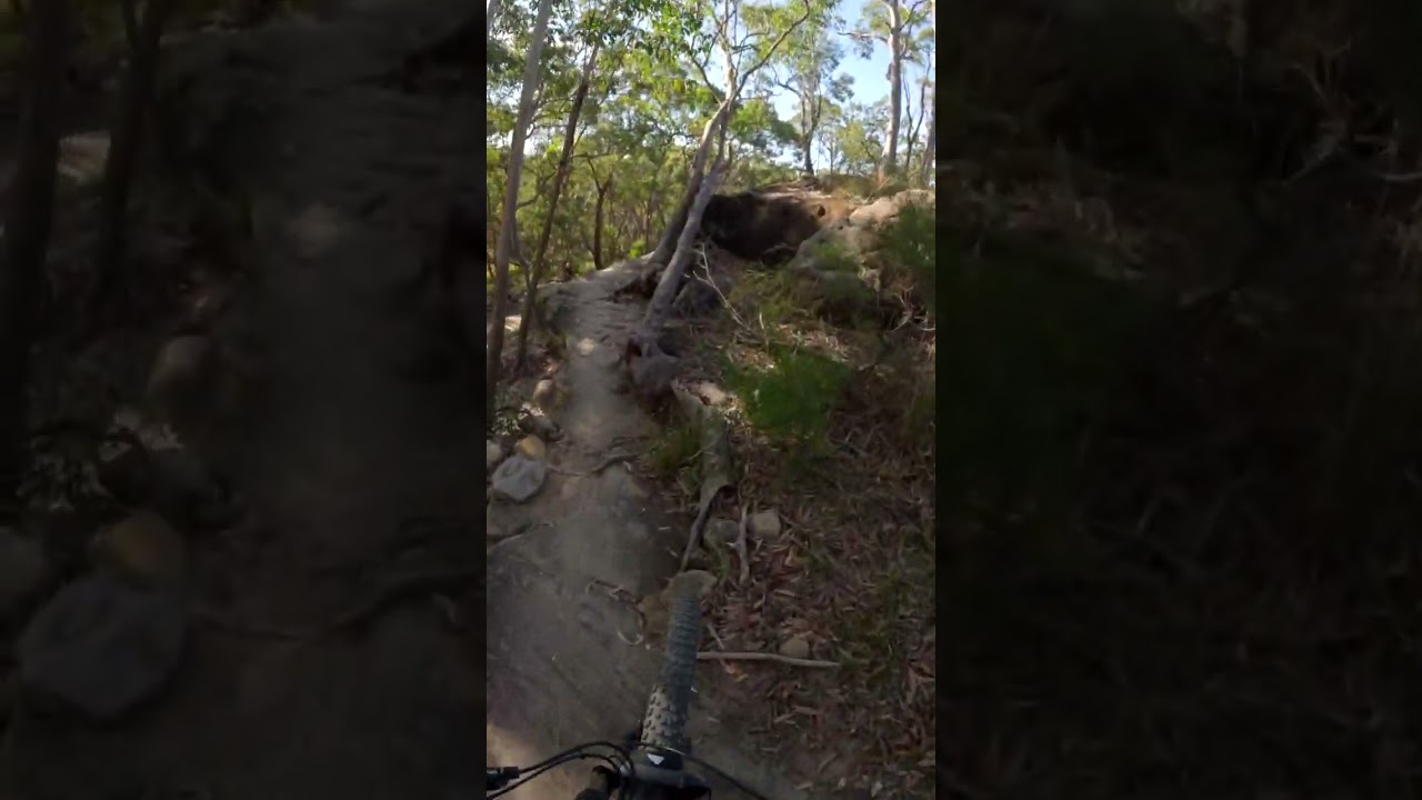 Mill Creek - That Roll