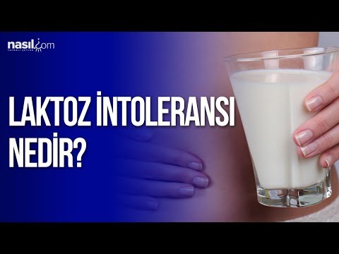 Video: Laktoza Dözümsüzlük