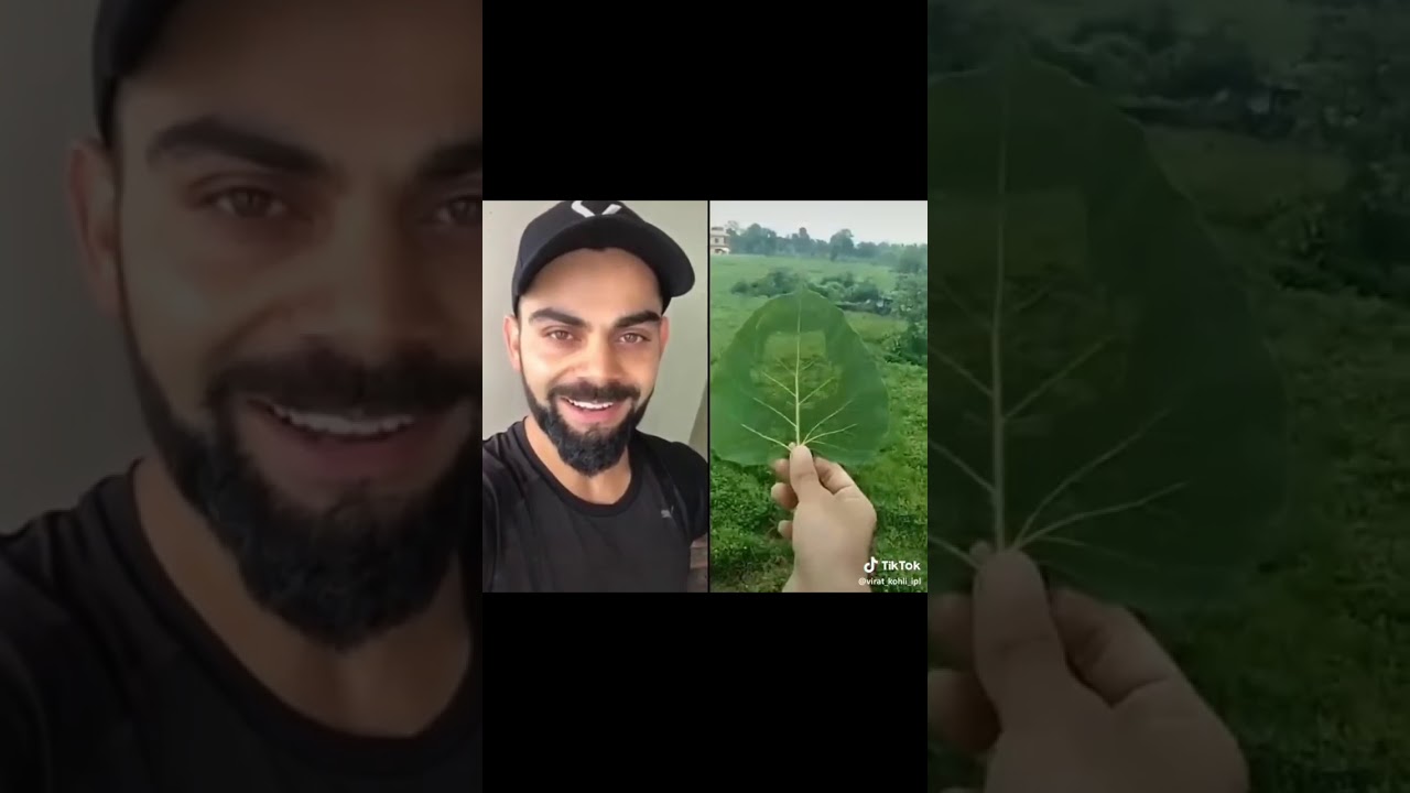 tik tok mp3 download free tik tok mp3 download free