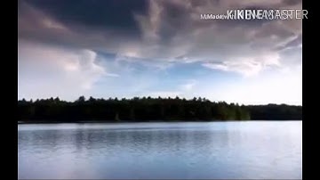 تلاوة للشيخ أبو عمير