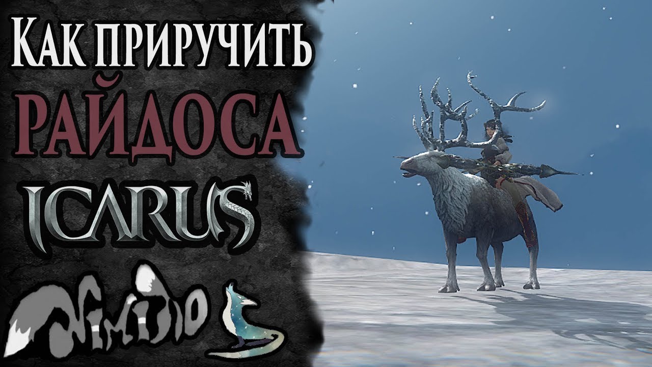Icarus как приручить. Пеплохвост альбинос икарус. икарус как приручить животных. икарус пауки берега парны. исарус.