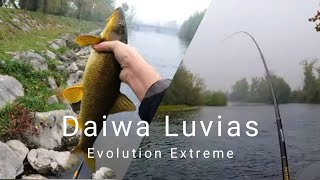 Daiwa Luvias Evolution Extreme: recensione e prova sul campo con grossi barbi