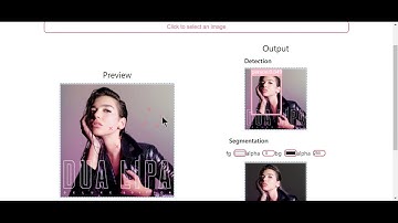 Simple Detection & segmentation demo video clip