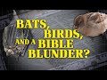 Bats, Birds, and a Bible Blunder | Is the Bible Contradictory?