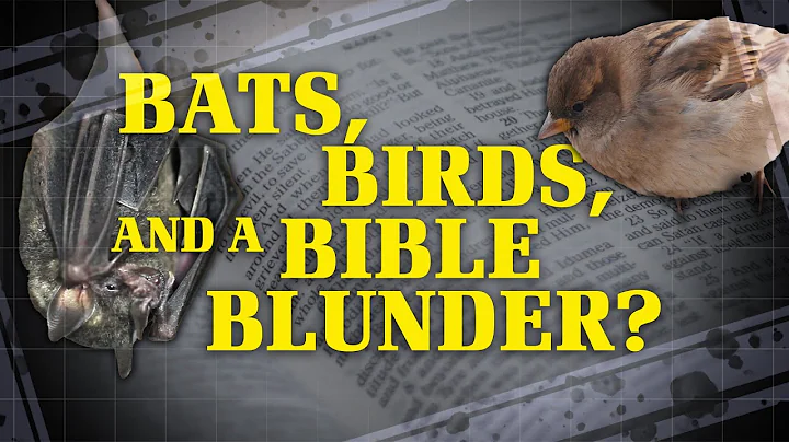 Murciélagos, aves y un error bíblico | ¿Contradice la Biblia?