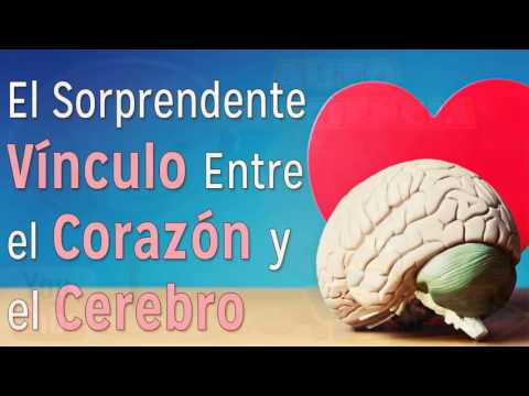 relación entre el ADN y las emociones