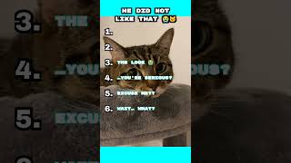 Cats Being Dramatic For No Reason