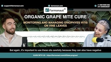 Organic Grape Mite Cure :  Monitoring and Managing Eriophyes vitis on Vine Leaves