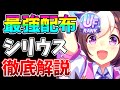 【ウマ娘】玉座ない方必見！！6500育成越えがグラマス最強の配布サポカ、知ると差が出る立ち回りについて徹底解説します【無微課金】【初心者】