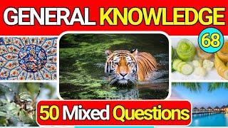 General Knowledge Quiz Trivia 68 | Can You Answer All 50 Questions Correctly? 2024