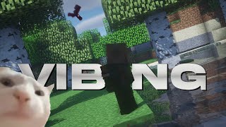 Vibing | Minecraft OITC Edit | TMS PLAYZ |