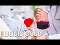 Blood Business | How Poverty Fuels a Global Medical Market