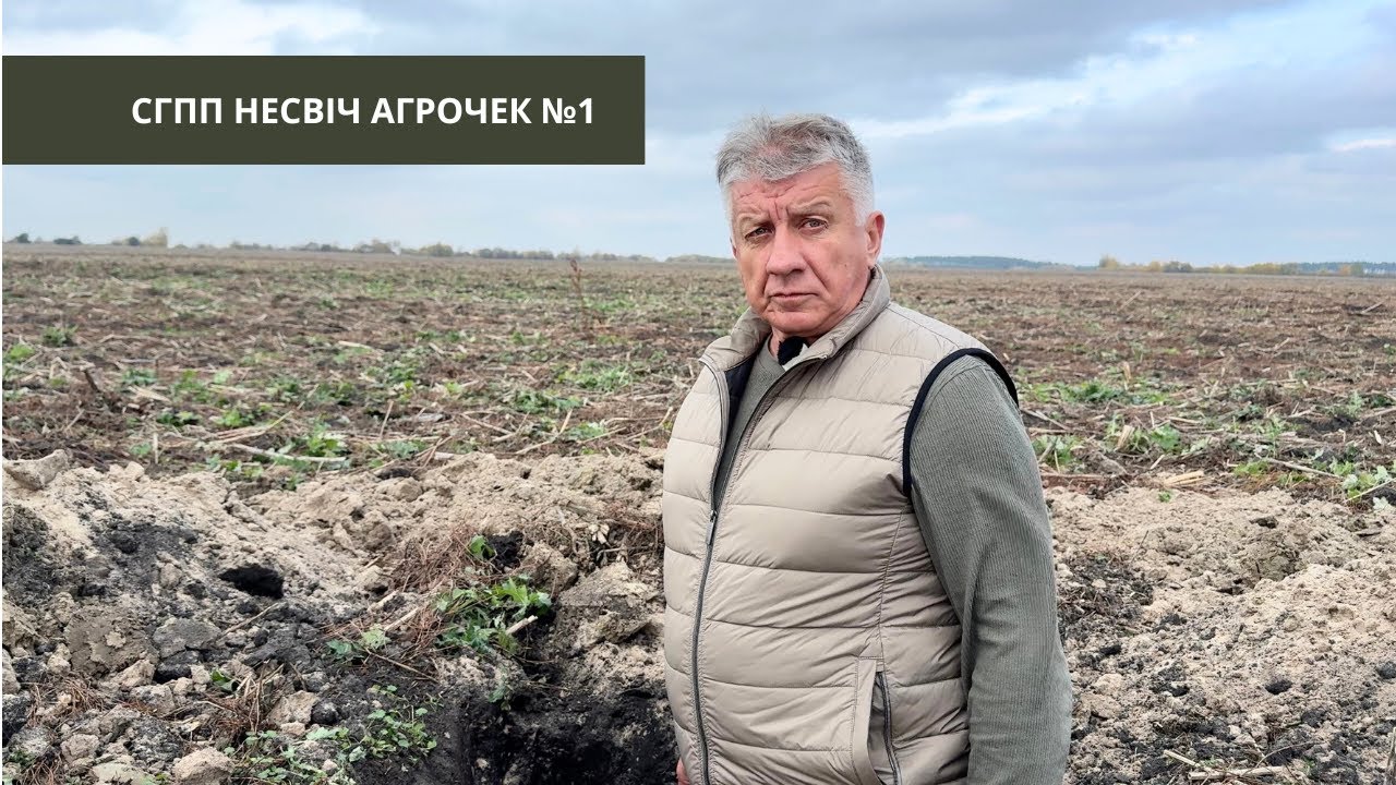 #293 АгроЧек: як працювати з торфами? Кейс господарства Несвіч (Волинь) Частина 1 в полі