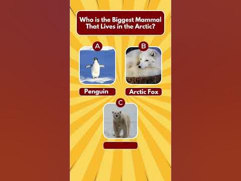Guess the Animal Quiz | Multiple Choice | Part 1 - YouTube
