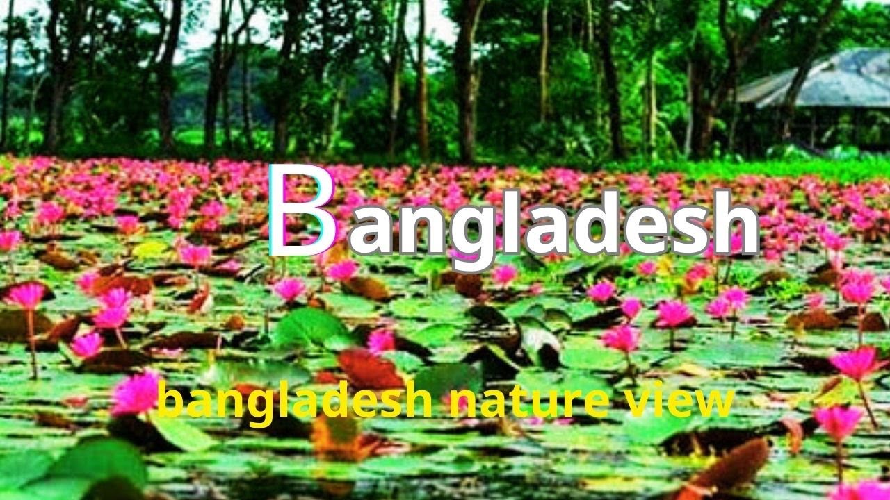 Bangladesh nature view! Bangladesh 4k view - YouTube