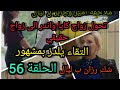 مسلسل التفاح الحرام الموسم الثالث الحلقة 56 عودة الحب والغرام بين كايا واندر