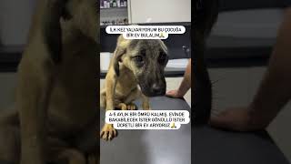 Bu Can 6 Aydır Bizimle.son 2 Ayını Tamamen Klinikte Geçirdi..i̇nstagram