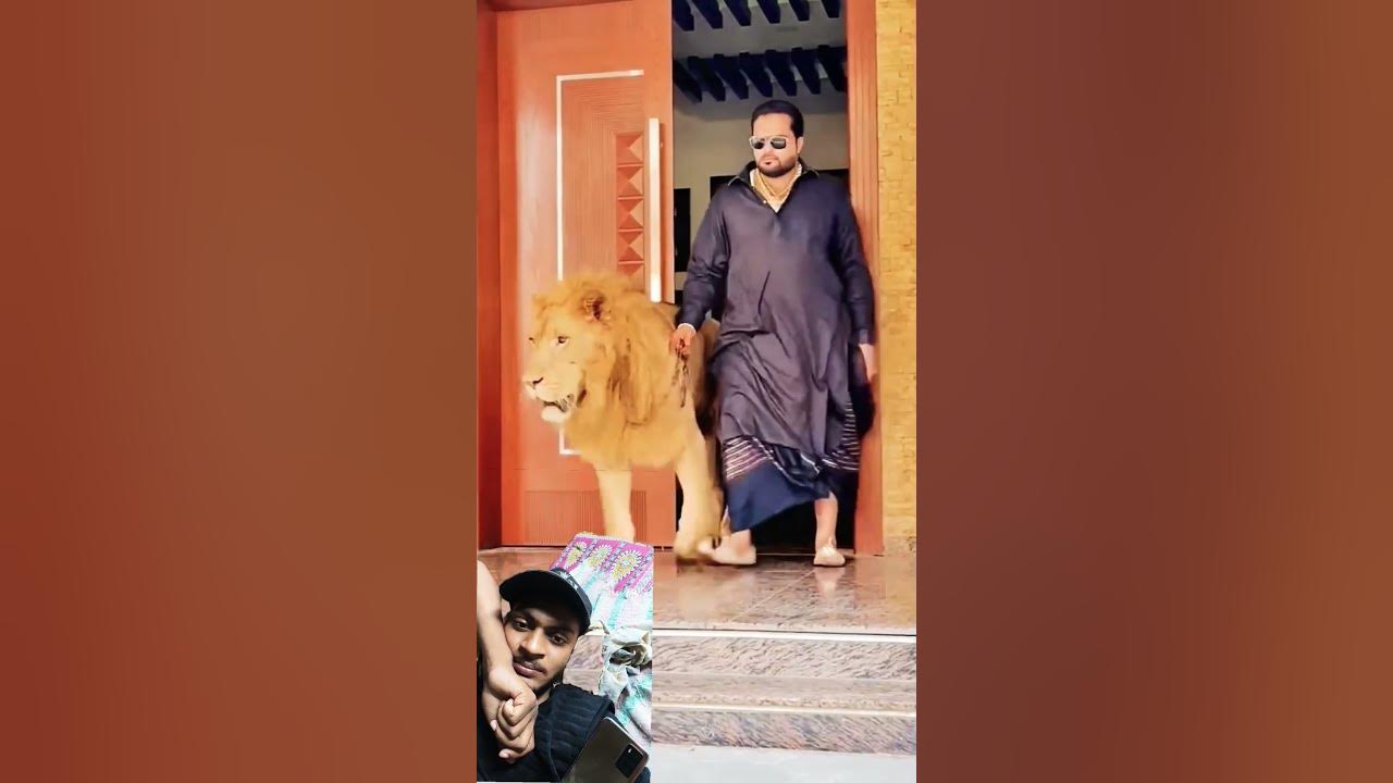 #tiger #attitude #animals #funny #song #ytshorts
