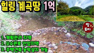 힐링 계곡물 땅이 딱 1억!! 양평 싼 저렴한 계곡물 토지 오수관로 인입 계획관리지역 땅 소액 소형 텃밭 농막 토지 계곡 인접 인근 전원주택 세컨하우스 이동식주택 주말주택 땅