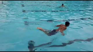 Gerak kaki renang gaya kupu kupu