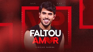 Vinicius Padini - FALTOU AMOR