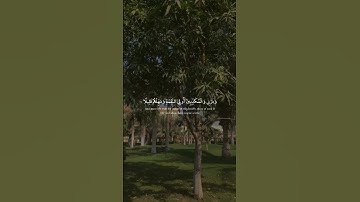 (واصبر على مايقولون واهجرهم هجرً جميلًا)[ سور المزمل]}القـــارئ عبدالرحمن مسعد تلاوة هادئة جداً 🎧