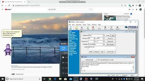 New, rare version of bonzi. (I MEAN 03 NOT 05)
