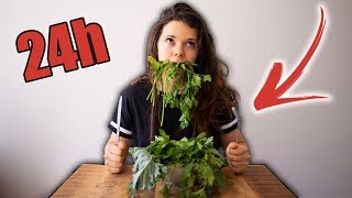 JE MANGE VEGAN PENDANT 24H ! (fausse bonne idée ?)