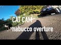 Cat Cam 1: Nabucco Overture