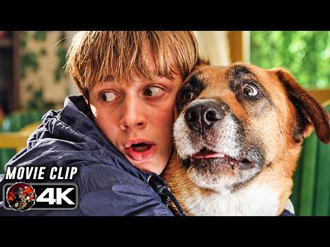 IDLE HANDS | Killer in the House (1999) Movie CLIP 4k