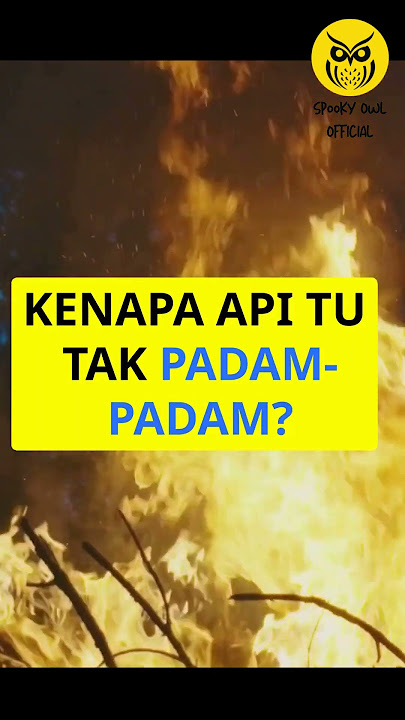 Api Misteri Di Tengah Rimba! 🔥🌲