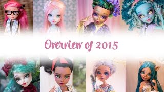 Overview of 2015