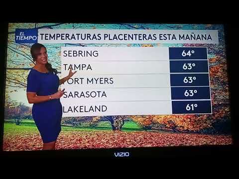 Liliana Ayende Sexy Legs Blue Outfit El Tiempo Univision Tampa Bay
