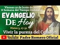 EVANGELIO DE HOY VIERNES 10 DE JUNIO DE 2022 | Padre José de la Cruz Romero