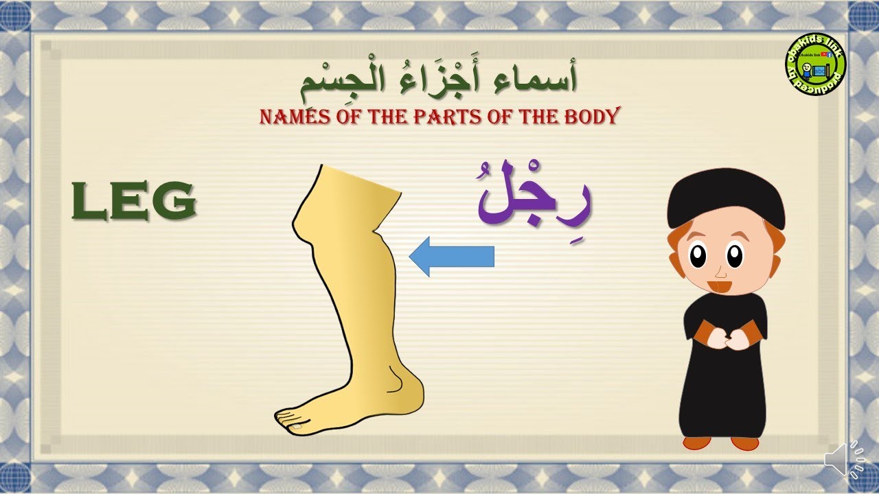 PARTS OF THE BODY IN ARABIC & ENGLISH تعليم أجزاء الجسم YouTube