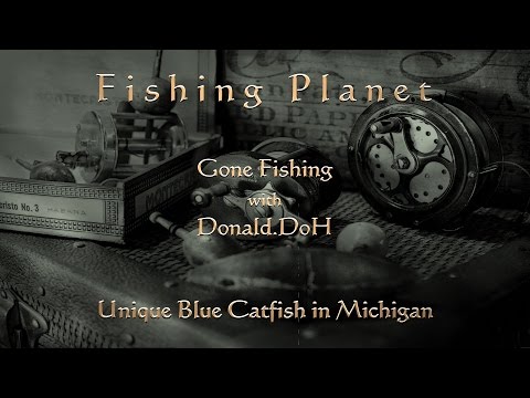 Fishing Planet - Trophy Blue Catfish - Michigan from YouTube · High Definition · Duration: 1 minutes 50 seconds · 179 views · uploaded on 6/25/2016 · uploaded by DimMaattooss Fishing Planet - Trophy Blue Catfish - Michigan from YouTube · High Definition · Duration: 1 minutes 50 seconds · 179 views · uploaded on 6/25/2016 · uploaded by DimMaattooss