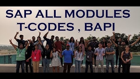 Mastering SAP T Codes and BAPI: A Comprehensive Guide to SAP All Modules - Part 4