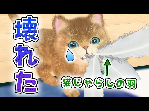 【悲報】猫じゃらし殉職/The cat toy broke.