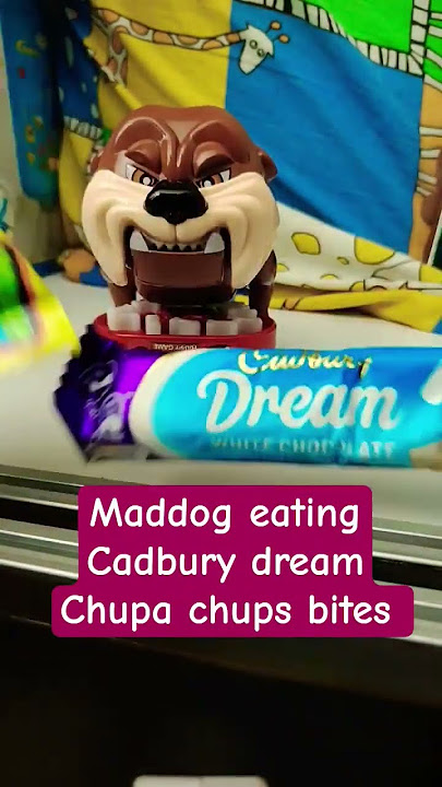 maddog eating chupa chups bites & Cadbury dream asmr satisfying#viralvideo#youtubeshorts#shorts