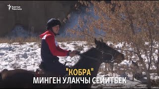 "Кобра" минген улакчы Сейитбек