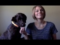 Stories with Stella: Five Minutes Peace