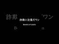 詐欺に注意だワン🐶Beware of scams