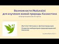 Флора России на iNaturalist. Алексей Серёгин